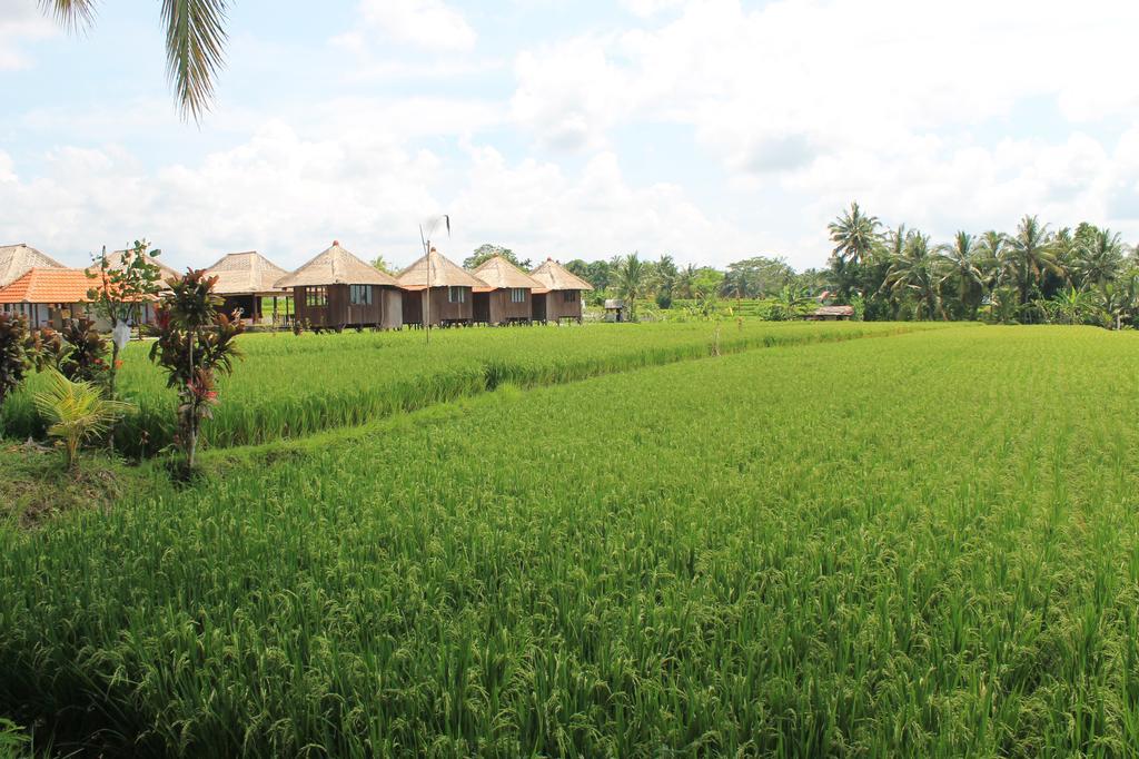 Taman liburan Taman Bintang 4*